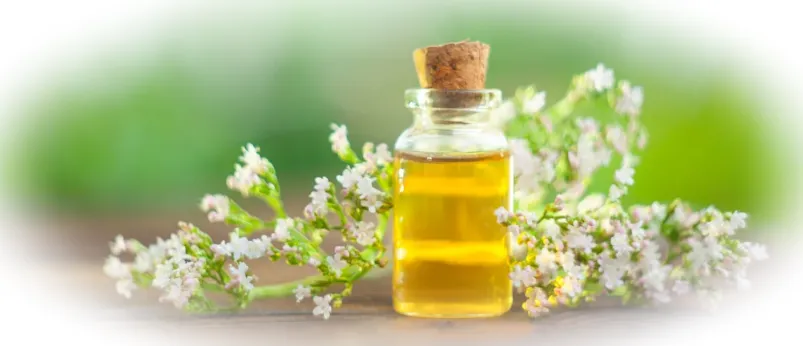 Эфирное масло валерианы