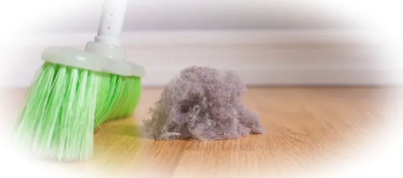 Как избавиться от пыли