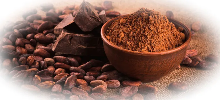 Какао-продукты польза и вред