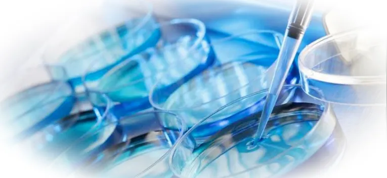 Мягкое ЭКО: возможности современной репродуктологии