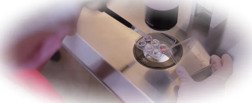 Показания к обращению к эмбриологу