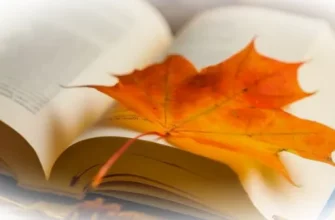 Почему осень - лучшее время для обучения