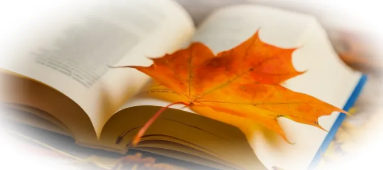 Почему осень - лучшее время для обучения