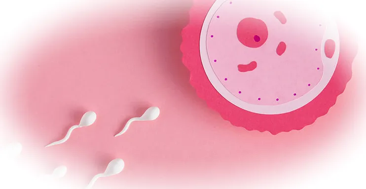 Преимущества ЭКО в естественном цикле