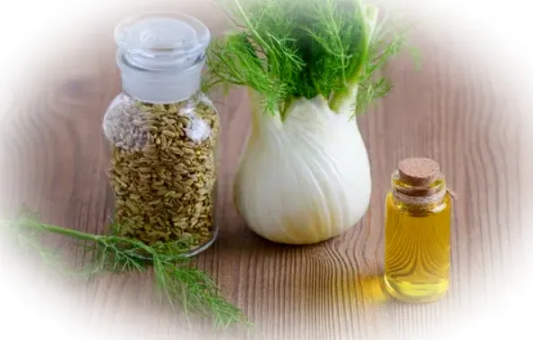 Применение эфирного масла фенхеля