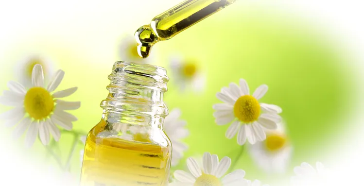 Применение эфирного масла ромашки