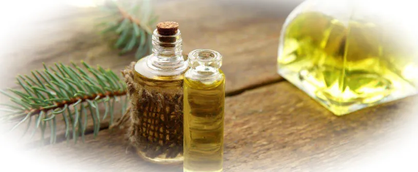 Применение эфирного масла сосны