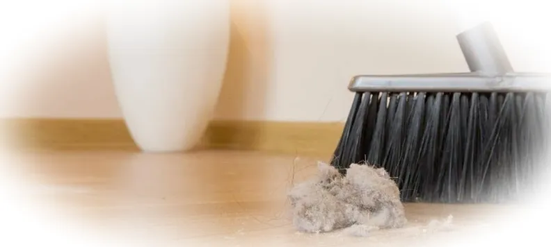 Пыль в нашем доме: что она скрывает и как с ней бороться