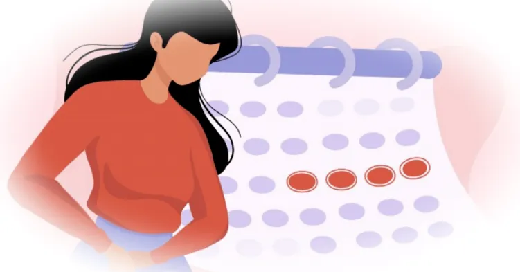 Фазы менструального цикла