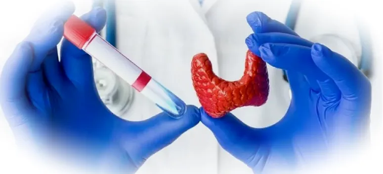 Когда пора проверить щитовидную железу