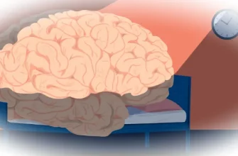 Почему мозг саботирует ваши цели и как это остановить