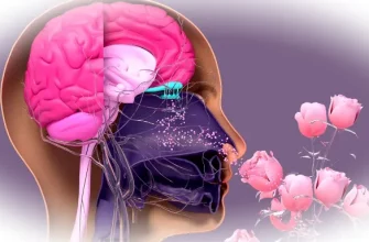 Почему запахи так легко переносят нас в прошлое