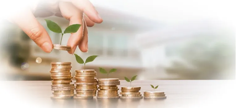 Второе дыхание вашего бюджета: где искать дополнительные доходы