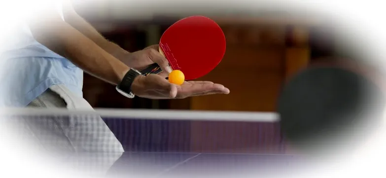 выбор ракетки для настольного тенниса