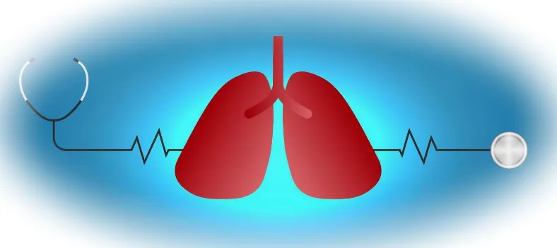 упражнения на увеличение легких
