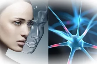 Нейрокосметика: как «умные» средства влияют на кожу через нервную систему?