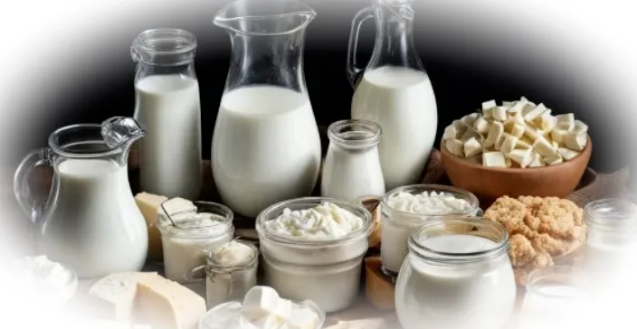 Основные виды молочных продуктов и их использование