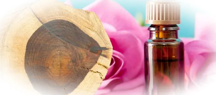 Полезные свойства масла розового дерева