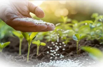 Как выбрать безопасные удобрения для дачи без вреда урожаю