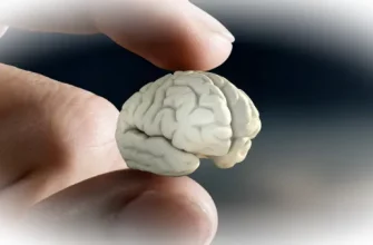 Почему мозг игнорирует маленькие победы