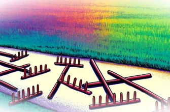 Почему мы совершаем одни и те же ошибки