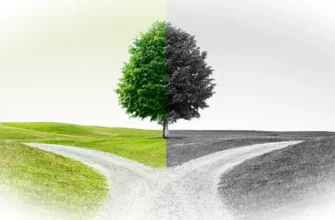 Привычка или зависимость: грань между нормой и патологией.