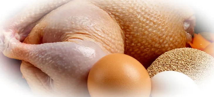 Животные источники коллагена