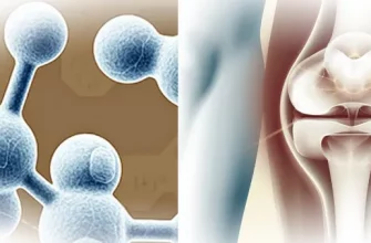 Коллаген: спасательный круг для суставов или красивый миф