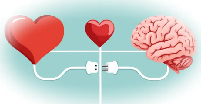 Порядок – основа стабильности