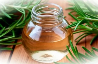 Масло можжевельника: от стресса до ухода за кожей