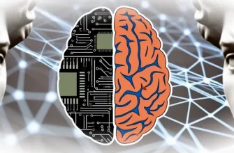 Мозг в вечном выборе: почему он любит хаос и порядок одновременно