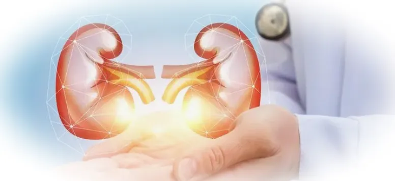 Как проходит прием у уролога