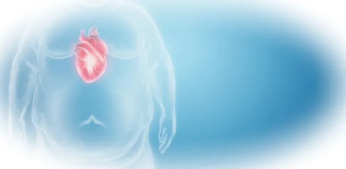 Сердце при ожирении