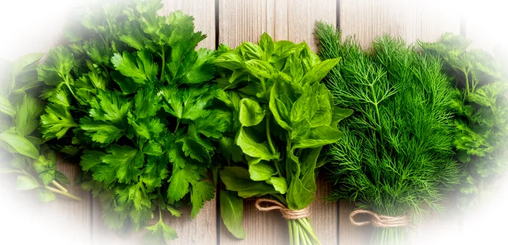 Сезонные овощи и зелень