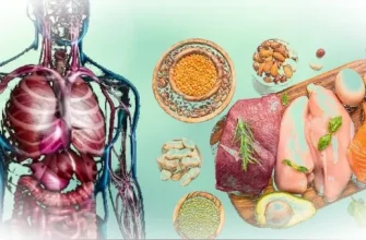 Скрытый дефицит белка: симптомы, причины и риски