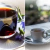 Бодрость без кофеина: разбираем плюсы и минусы чая, кофе и цикория
