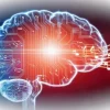 Как управлять мозгом с помощью музыки: от фокуса до гениальных идей