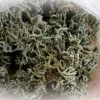 Ирландский мох: суть продукта, польза и применение в кулинарии