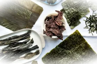 Водоросли в питании: от японской классики до арктической кухни