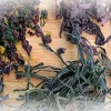 Сушёные водоросли: от азиатской кухни до высоких технологий