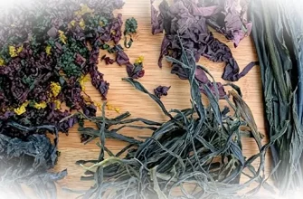 Сушёные водоросли: от азиатской кухни до высоких технологий
