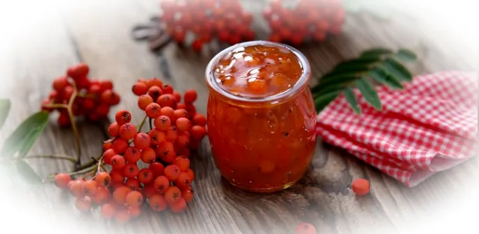 Последствия употребления рябины