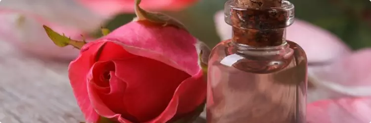Эфирное масло розы - польза и использование