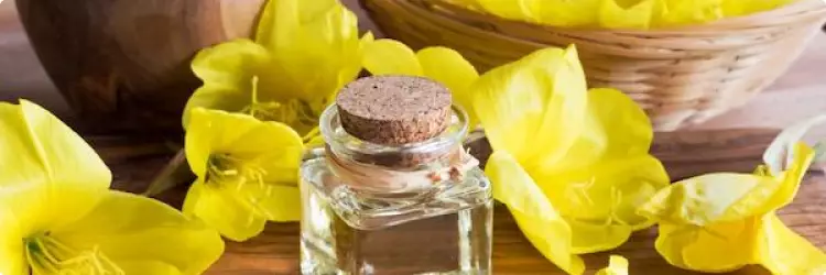 Косметологическое использование масла вечерней примулы