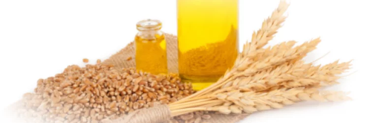 Масло из зародышей пшеницы и природная сила меда