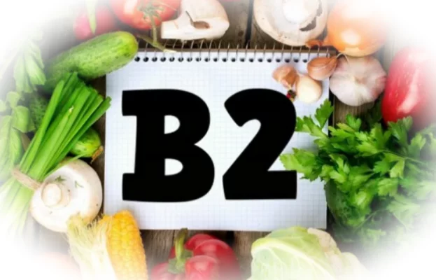 Витамин B2: свойства и роль в организме рибофлавина