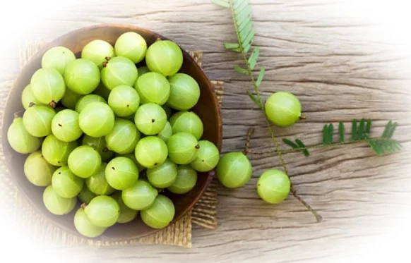 Амалаки - натуральный источник витамина С